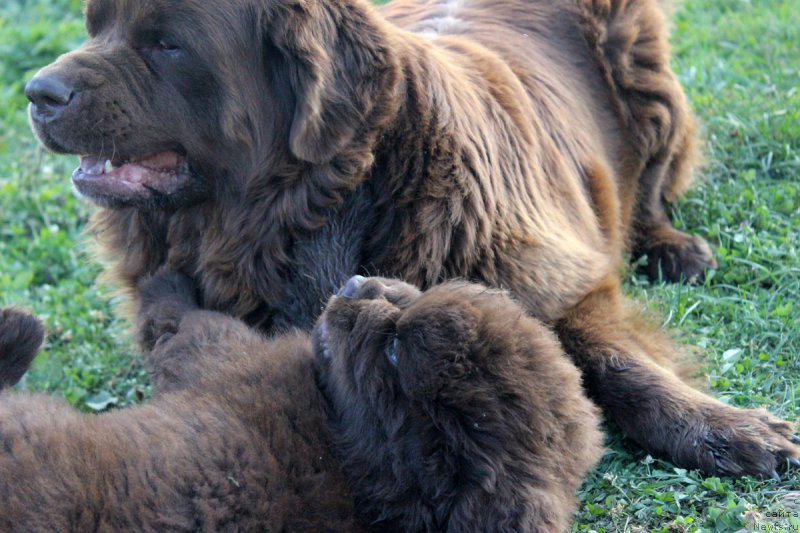 Фотография № 164742