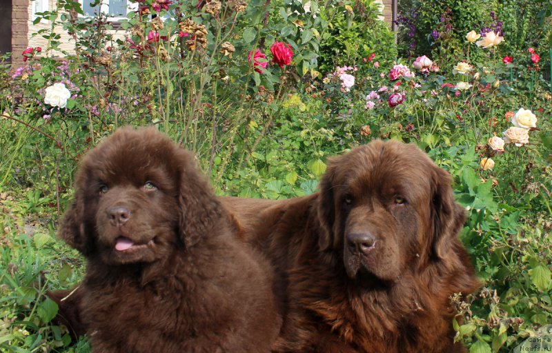 Фотография № 164746