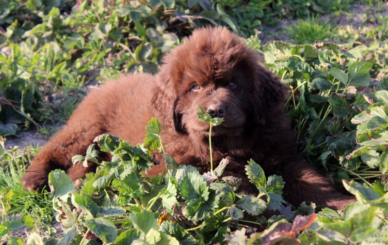 Фотография № 164747