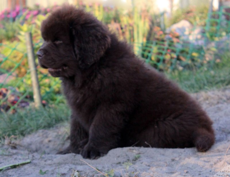 Фотография № 164757