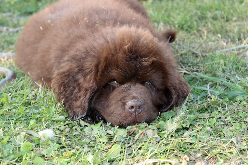 Фотография № 164760