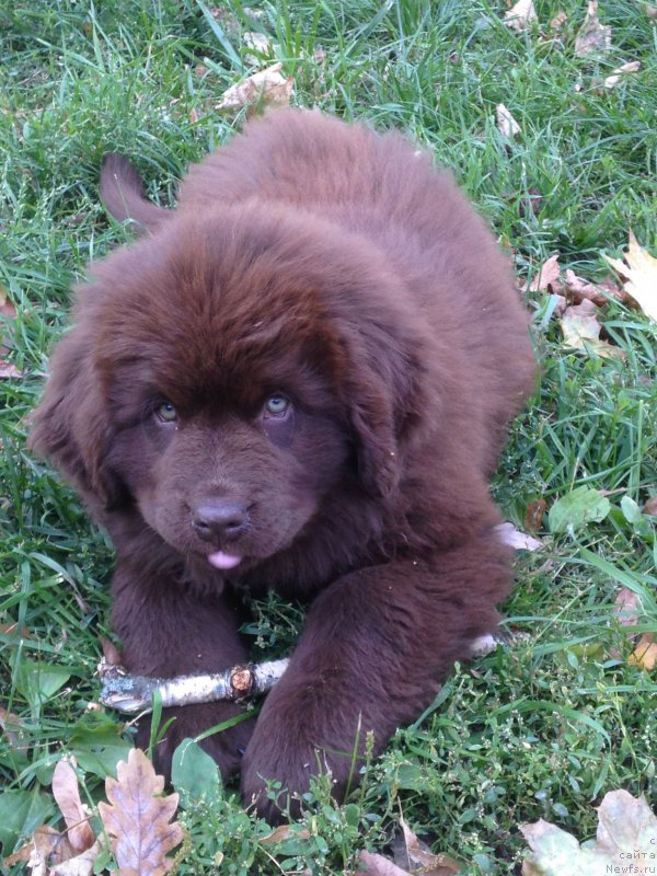 Фотография № 164791