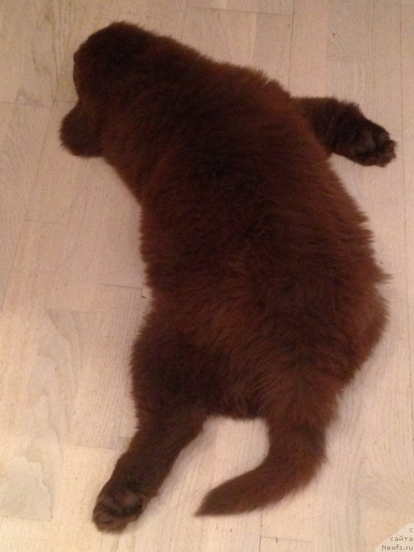 Фотография № 164792