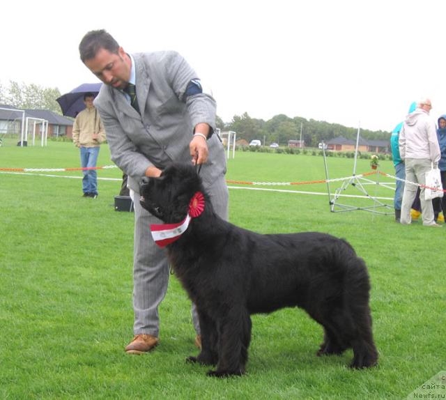 Фотография № 16480