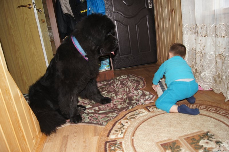 Фотография № 164809