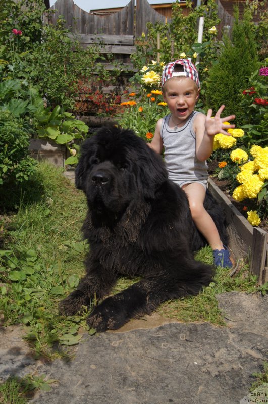 Фотография № 164811