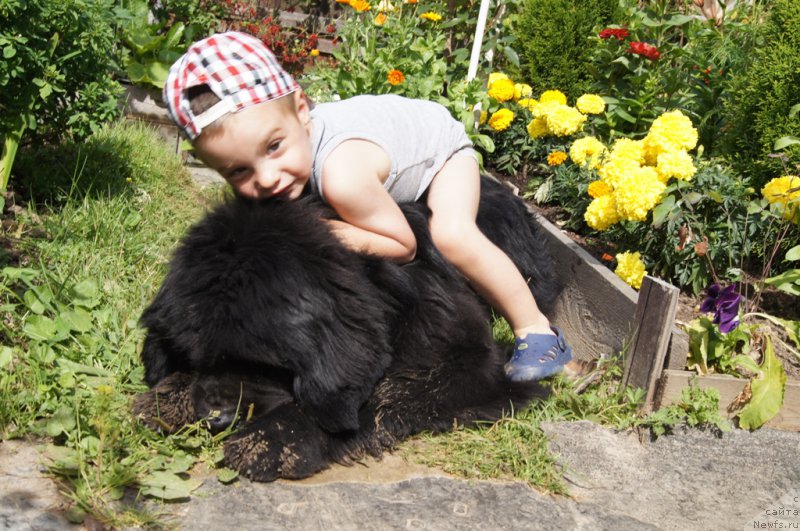 Фотография № 164814