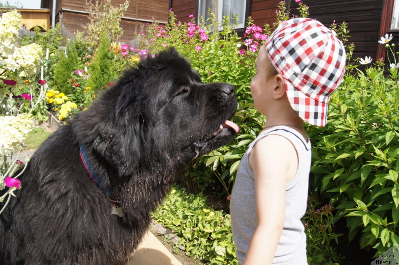 Фотография № 164817