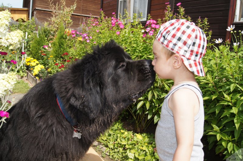 Фотография № 164818