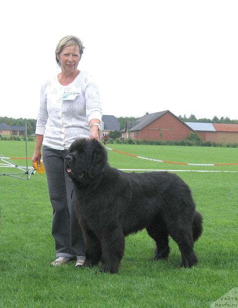 Фотография № 16482