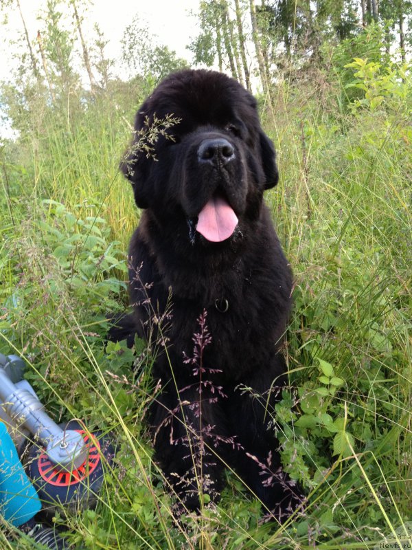 Фотография № 164821