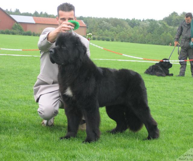 Фотография № 16483