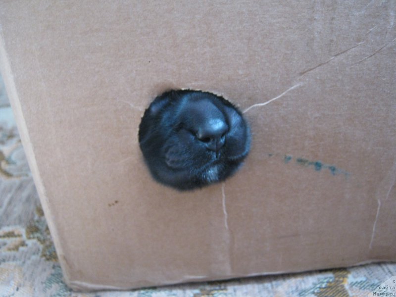 Фотография № 164830