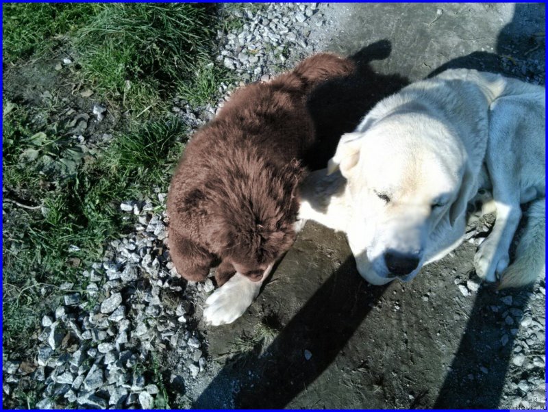 Фотография № 164845