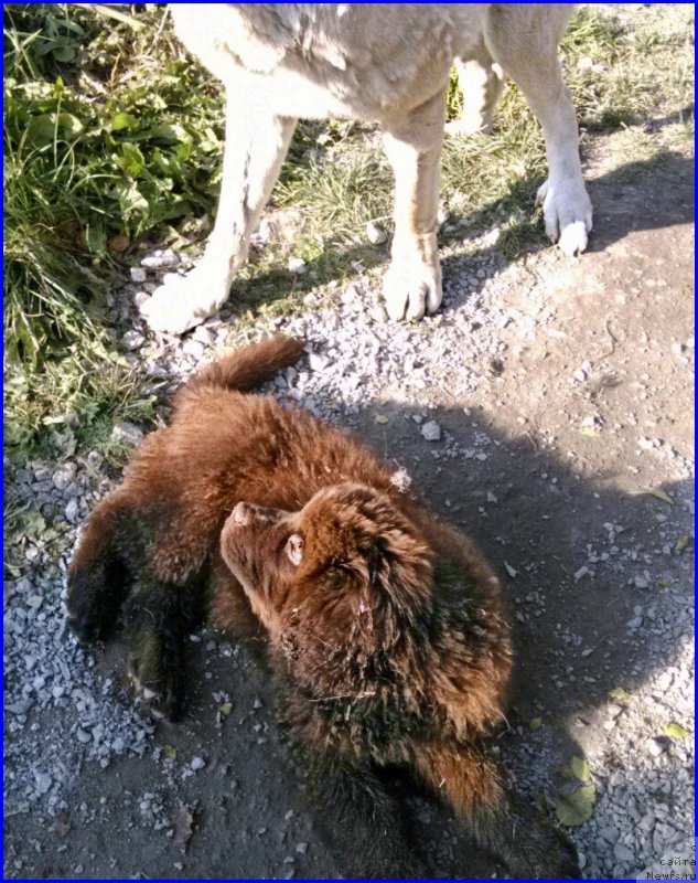 Фотография № 164846