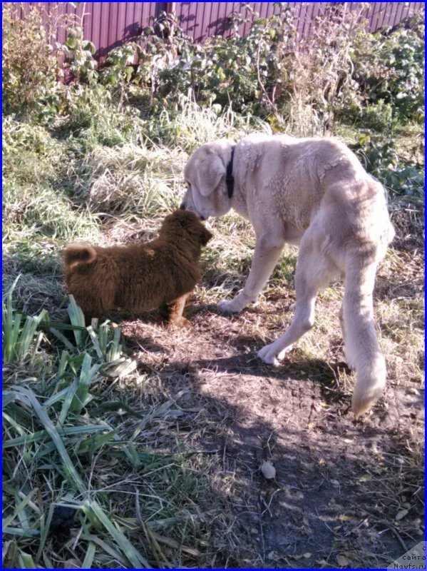 Фотография № 164848