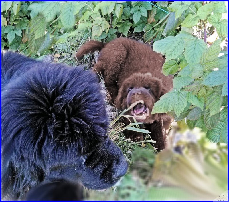 Фотография № 164849