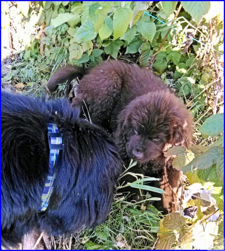 Фотография № 164851