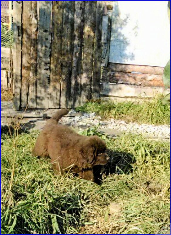 Фотография № 164853