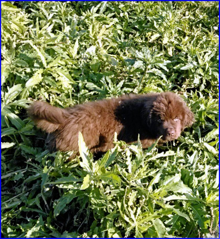 Фотография № 164856