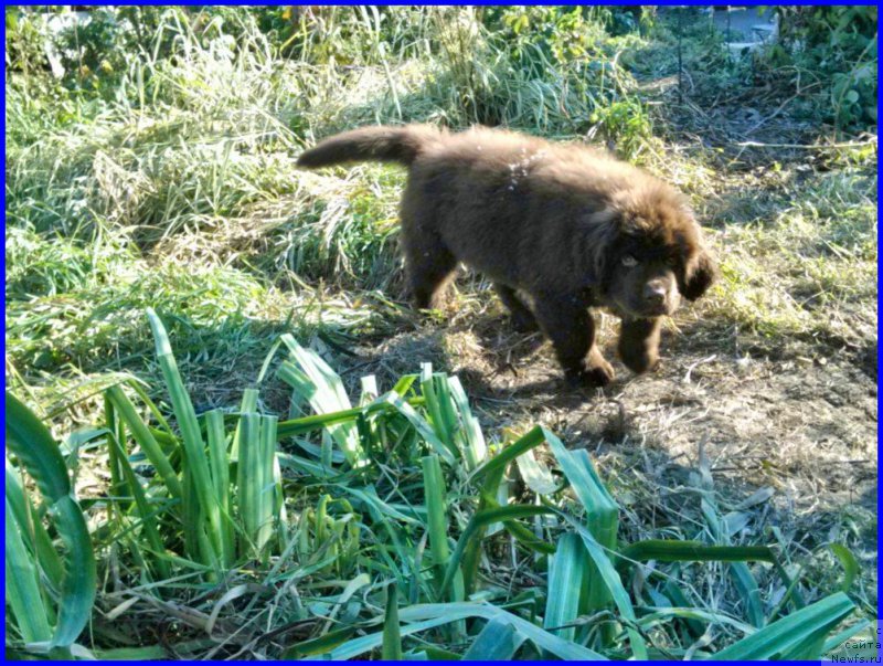 Фотография № 164860