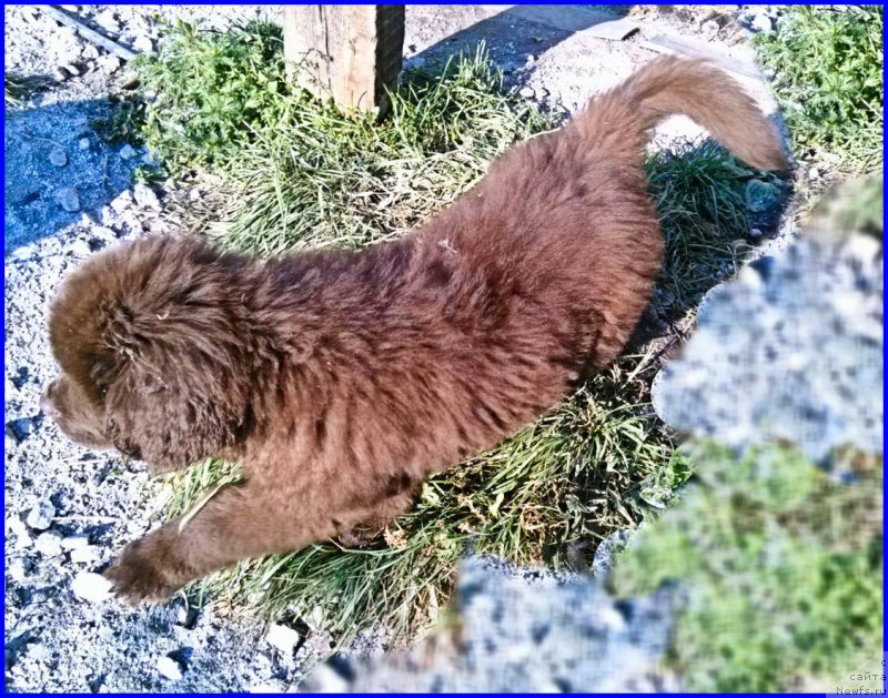 Фотография № 164867