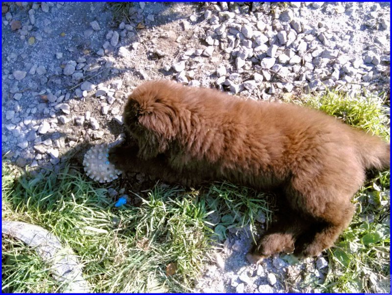 Фотография № 164869