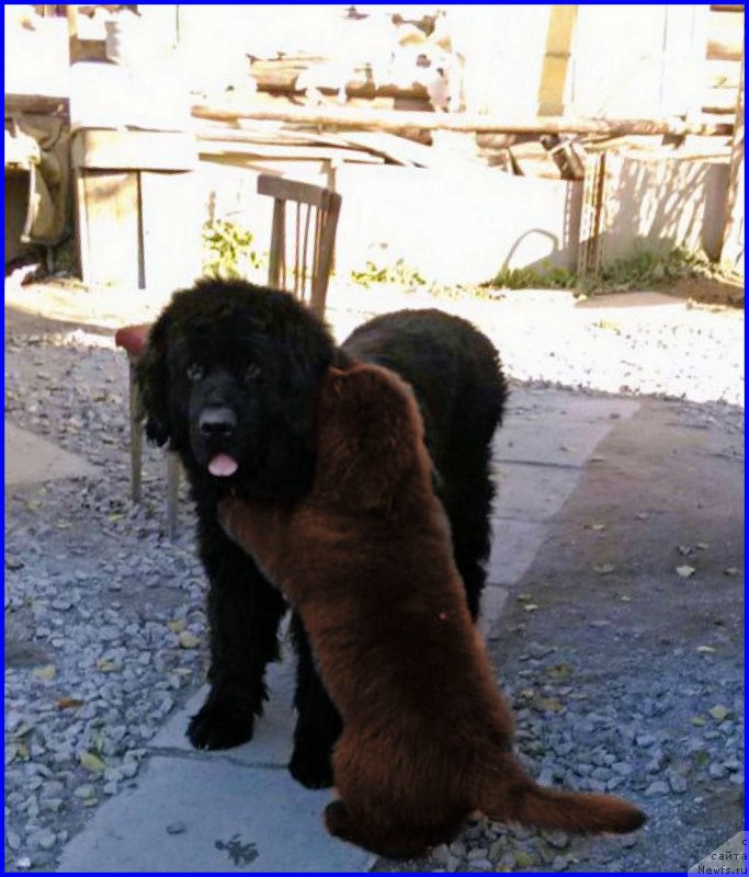 Фотография № 164876