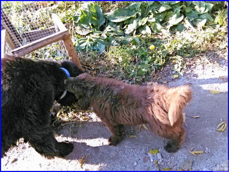 Фотография № 164889