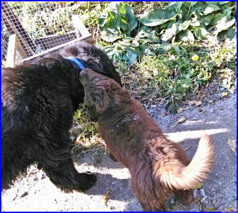 Фотография № 164891