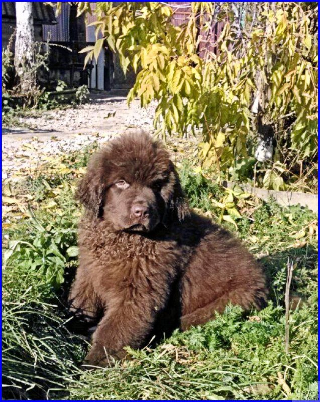 Фотография № 164902