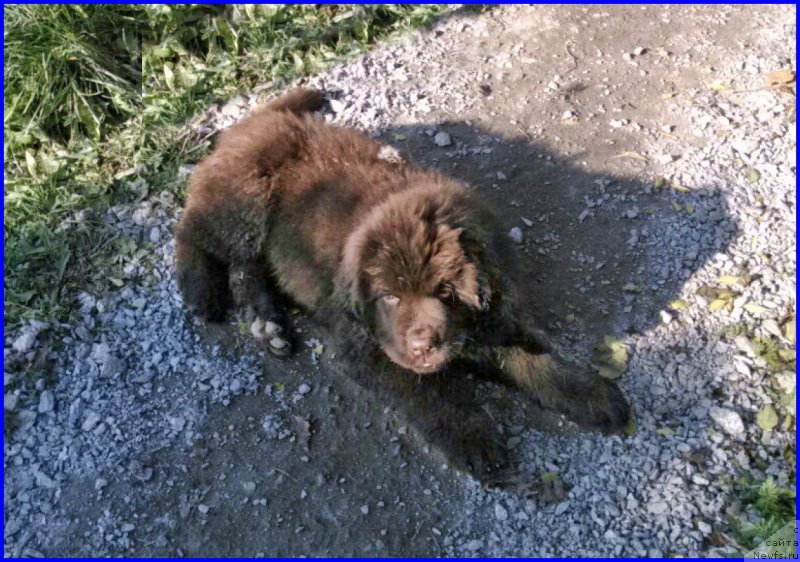 Фотография № 164905