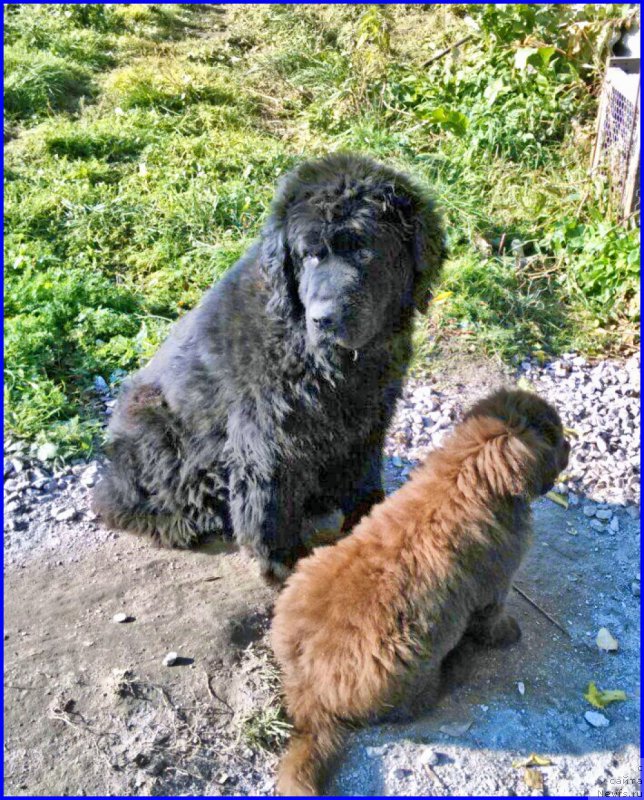 Фотография № 164913