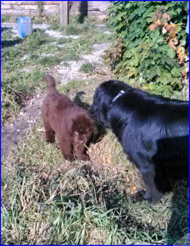 Фотография № 164915