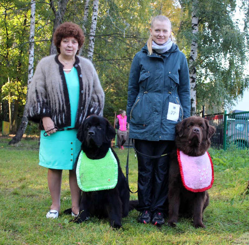 Фотография № 164962