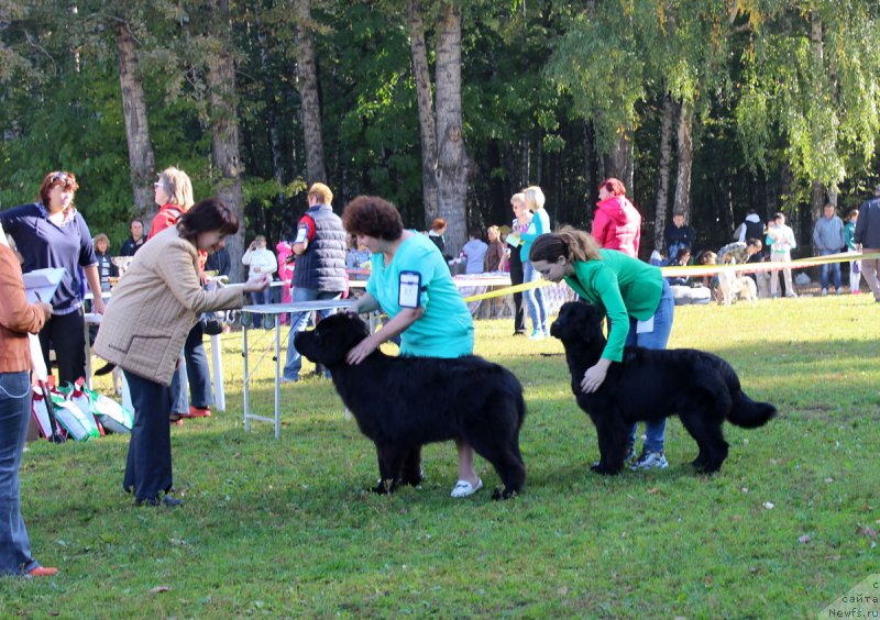 Фотография № 164963