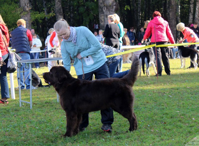 Фотография № 164965