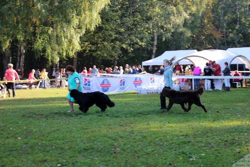 Фотография № 164966