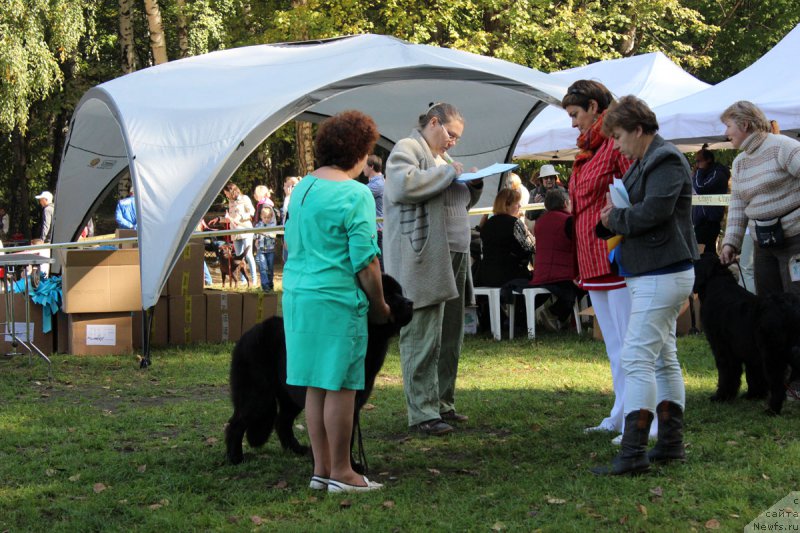 Фотография № 164968