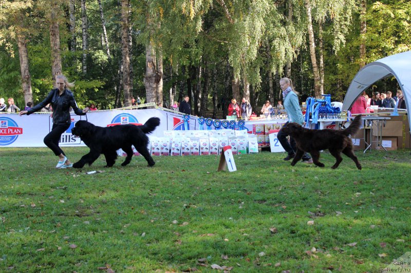 Фотография № 164969