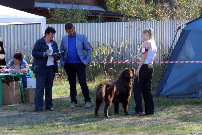 Фотография № 164971