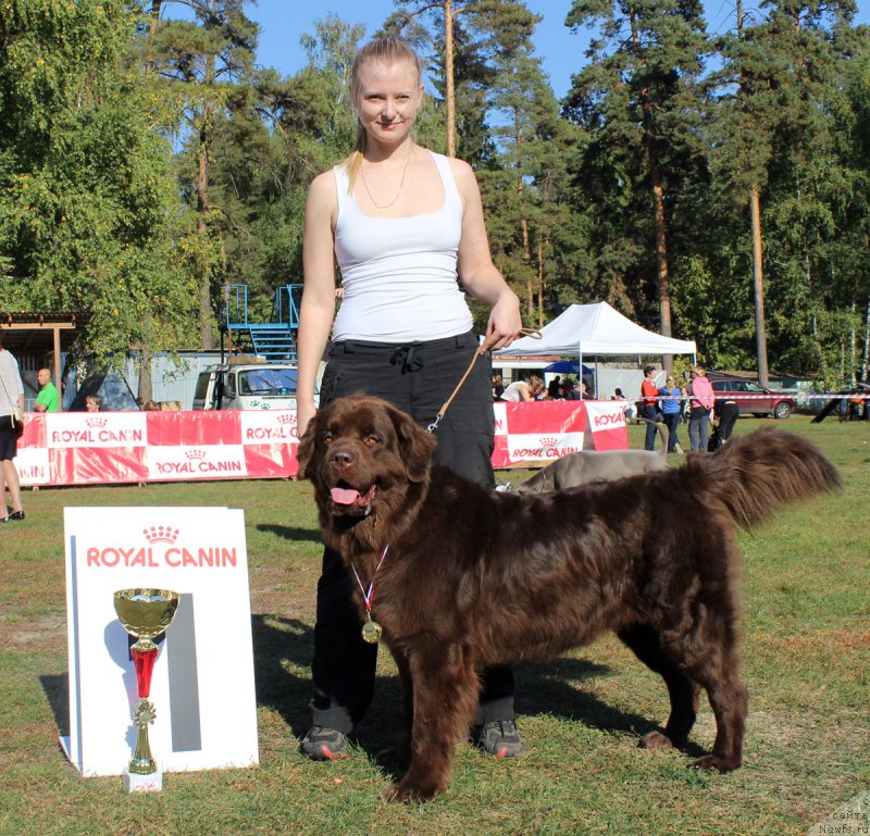 Фотография № 164972