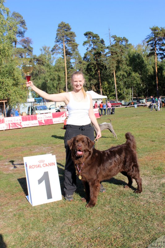 Фотография № 164973