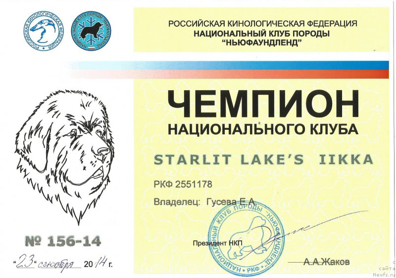 Фото: ньюфаундленд Starlit Lake's Iikka