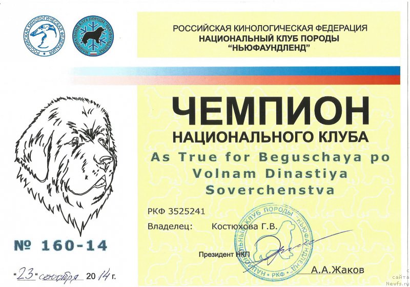 Фотография № 165007