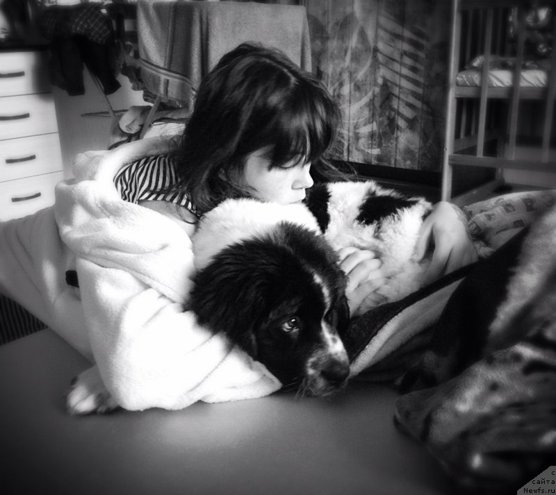 Фотография № 165022