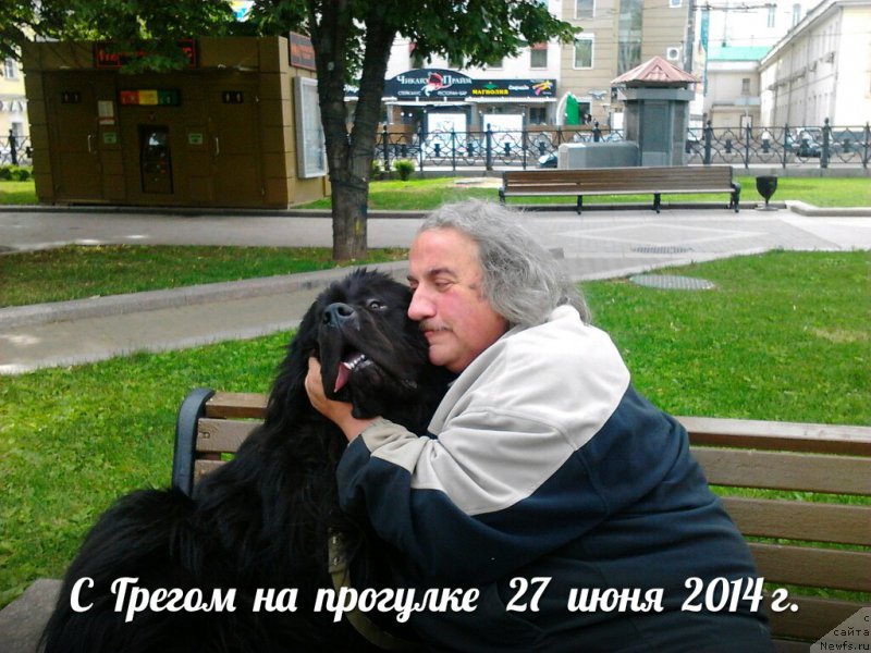 Фото: ньюфаундленд Бэлла Мосс Грегори