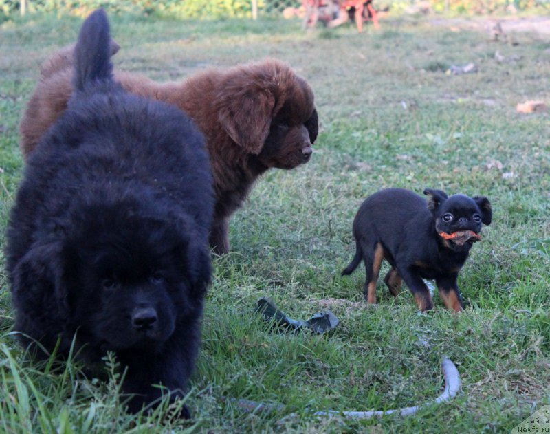 Фотография № 165044