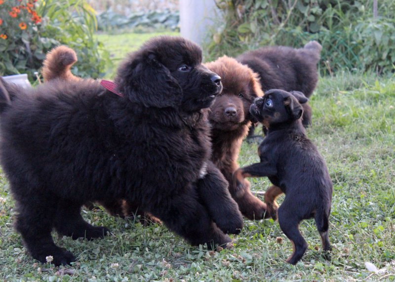 Фотография № 165047