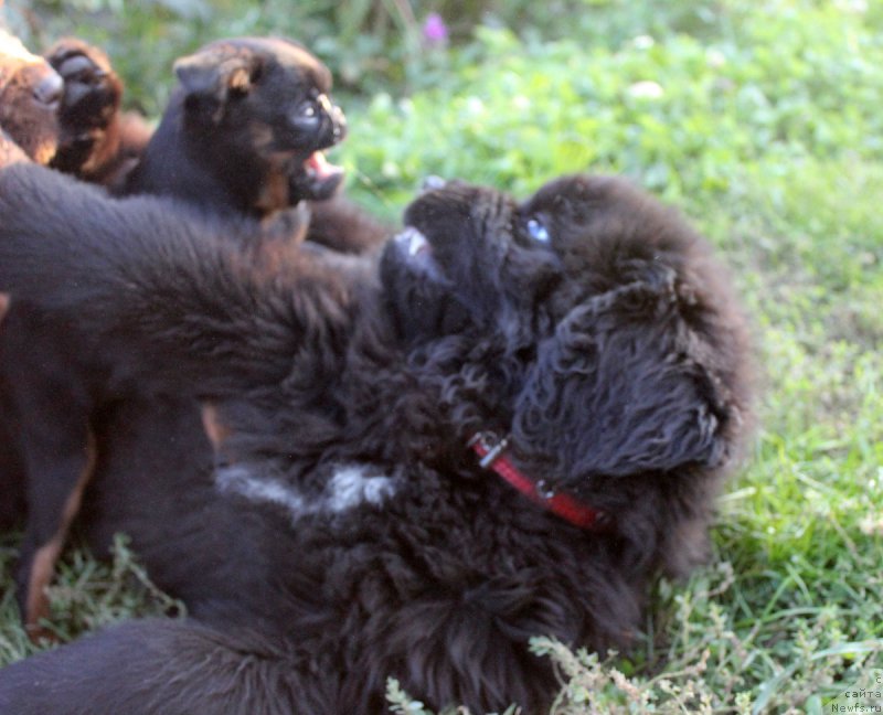 Фотография № 165048